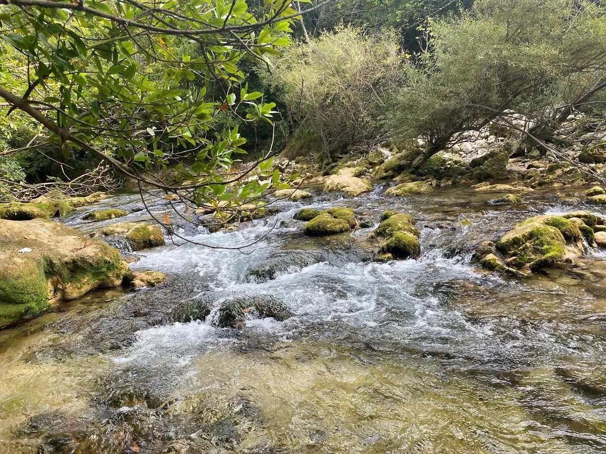 Les Lodges De Saint Cassien 2 Montauroux