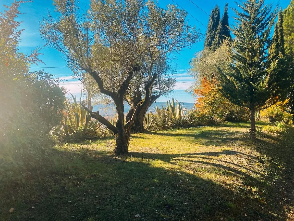 Les Lodges De Saint Cassien 2 Montauroux